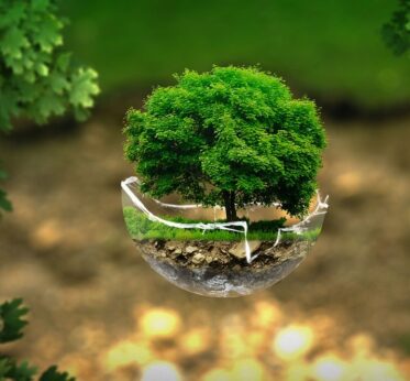 С чего начинается осознанное отношение к природе?