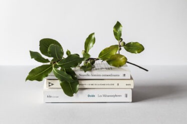 Топ-5 книг для развития креативности